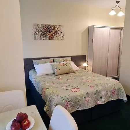 Apartamentai Vyta Apartment