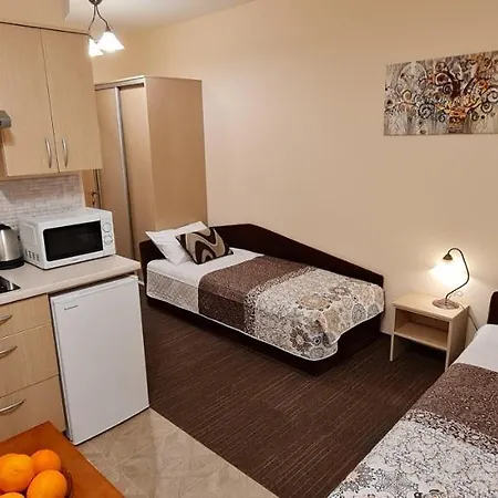 Apartamentai Vyta *