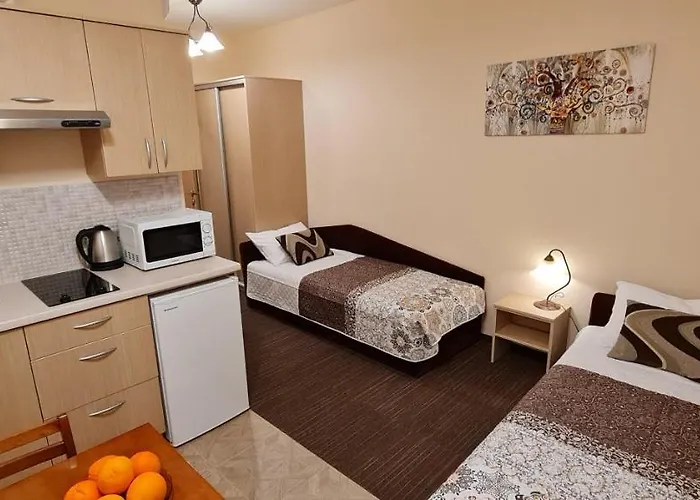 Apartamentai Vyta *